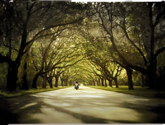 Harley-Davidson e The Nature Conservancy 2